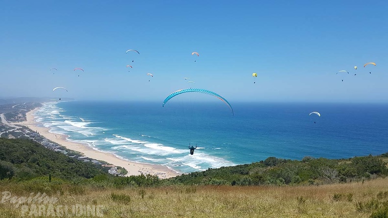 Paragliding-Suedafrika-329.jpg