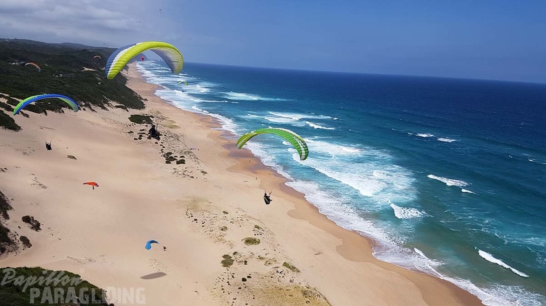 Paragliding-Suedafrika-445.jpg