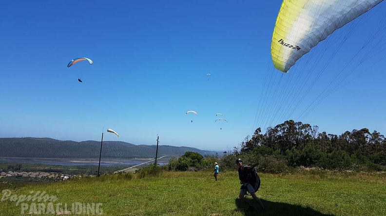 Paragliding-Suedafrika-499.jpg