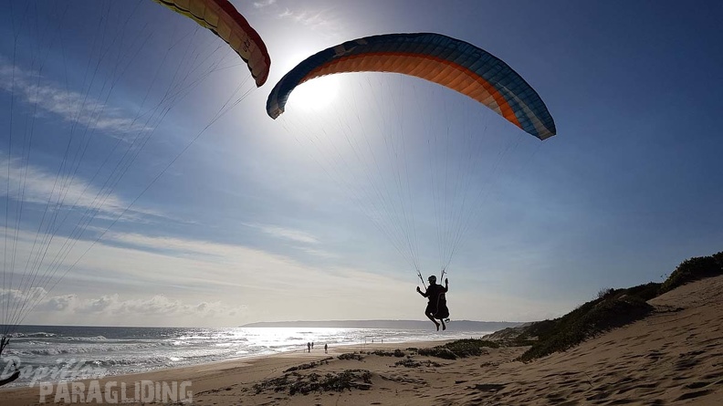 Paragliding-Suedafrika-509.jpg