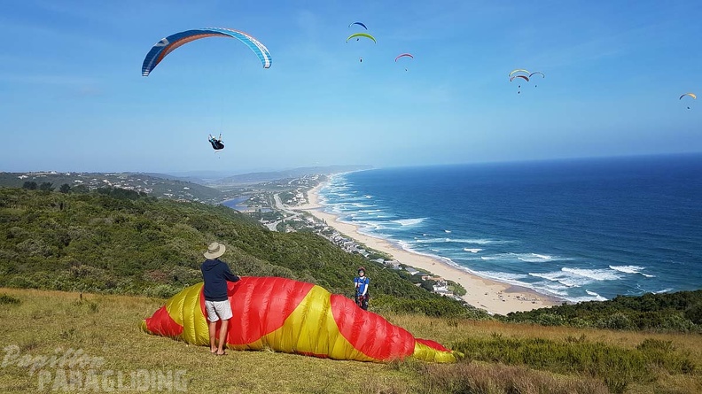 Paragliding-Suedafrika-639