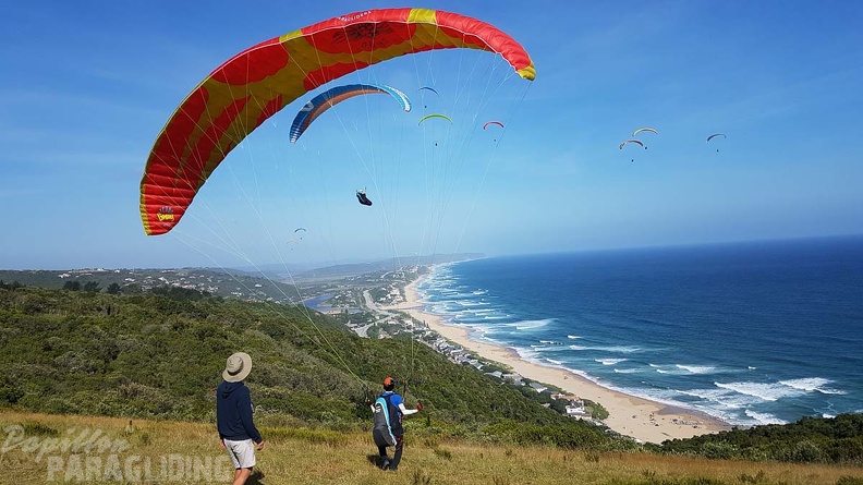 Paragliding-Suedafrika-640.jpg