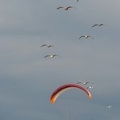 FZ37.18 Zoutelande-Paragliding-544