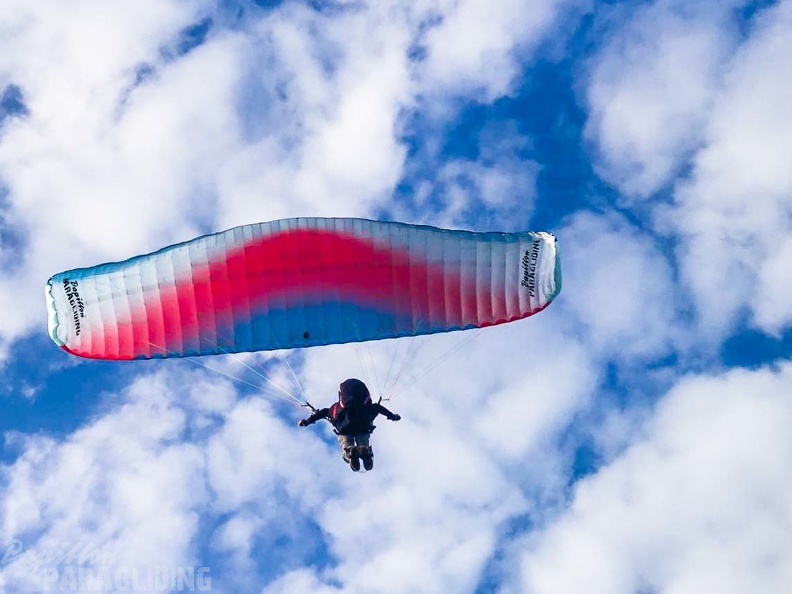 FZ37.18 Zoutelande-Paragliding-660