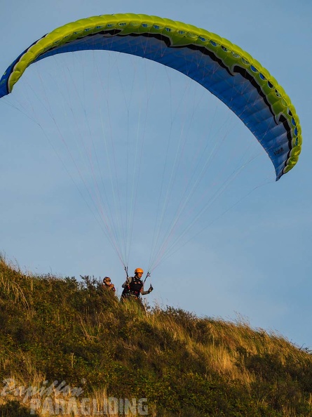 FZ37.18 Zoutelande-Paragliding-895