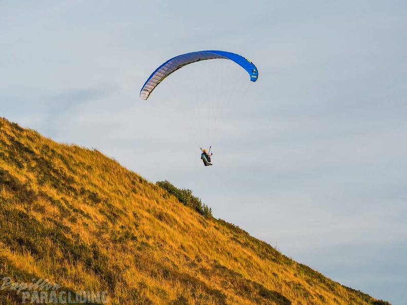 FZ37.18 Zoutelande-Paragliding-899