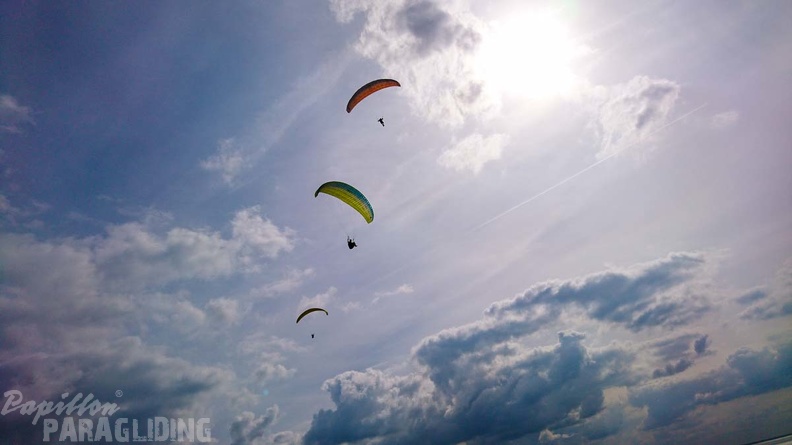 FZ37.19 Zoutelande-Paragliding-169