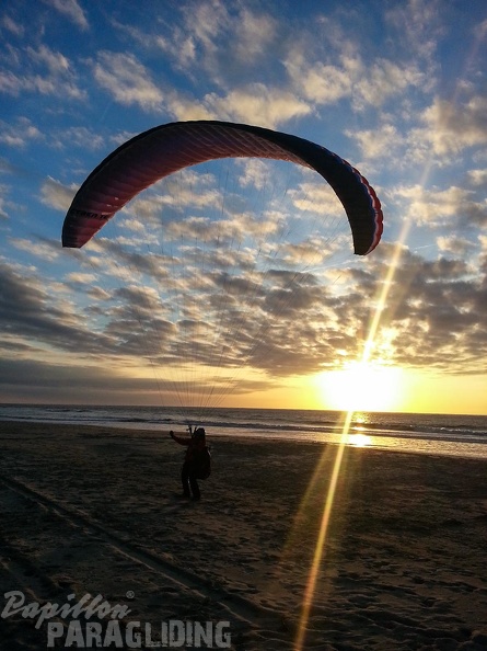 Paragliding_Zoutelande-112.jpg