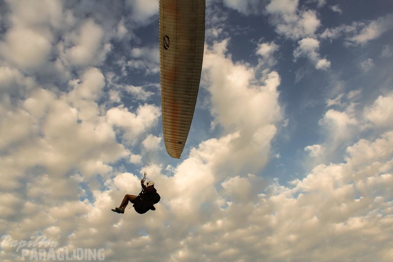 Paragliding Zoutelande-278