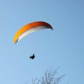 2010 EG.10 Sauerland Paragliding 037