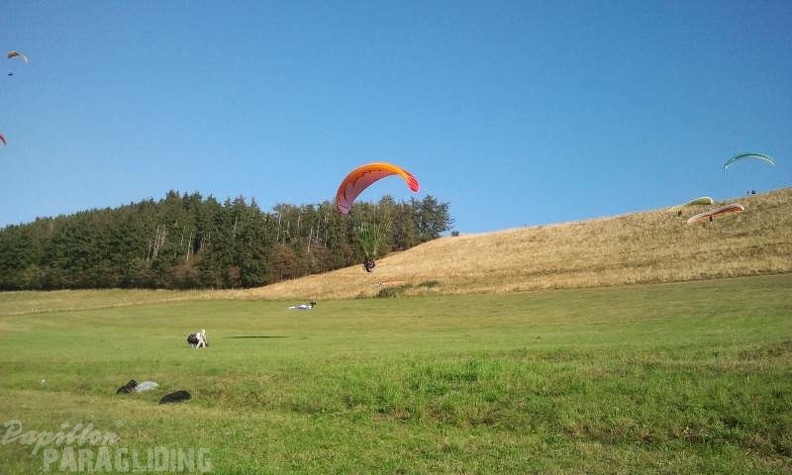 2012 ES.36.12 Paragliding 004