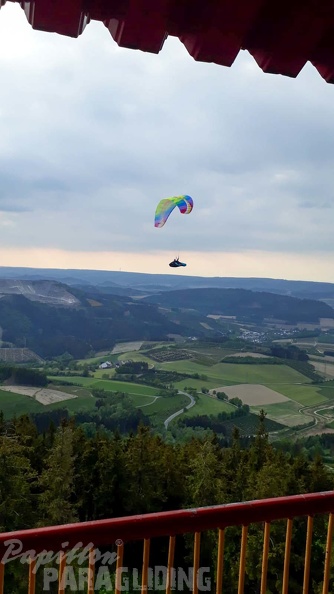 EK21.20-Papillon-Paragliding-217