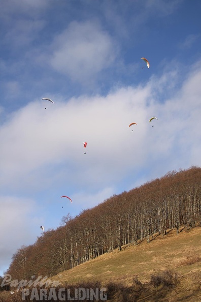 2011 RFB JANUAR Paragliding 040