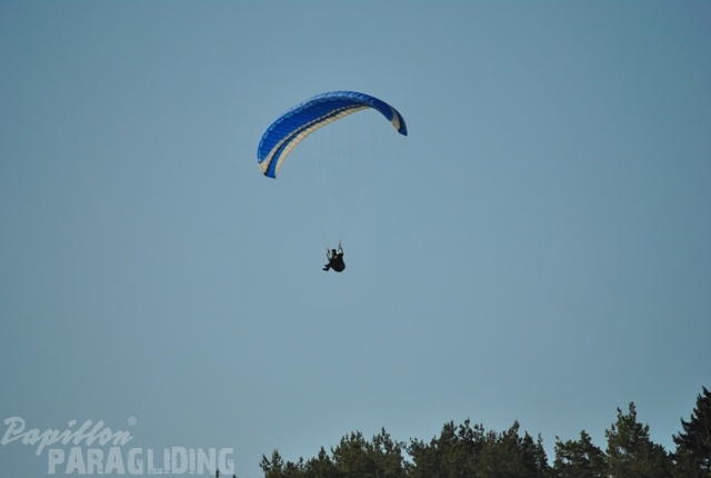 2011 RFB SPIELBERG Paragliding 067