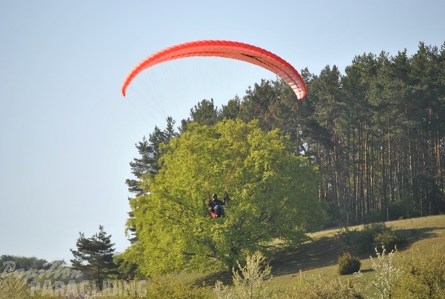 2011 RFB SPIELBERG Paragliding 090