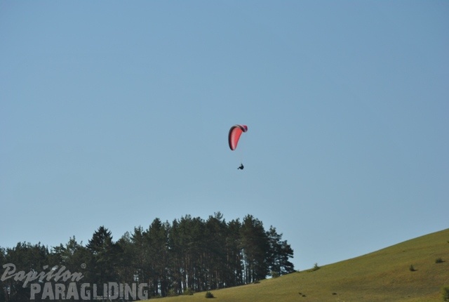 2011_RFB_SPIELBERG_Paragliding_124.jpg