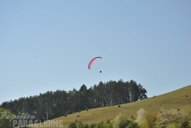 2011 RFB SPIELBERG Paragliding 126