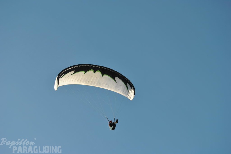 2011_RFB_WESTHANG_Paragliding_009.jpg