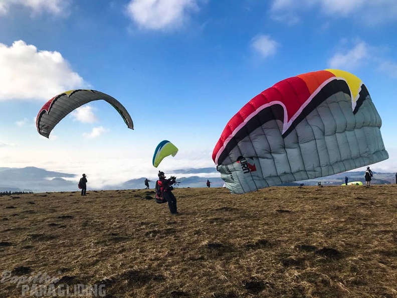 Paragliding-Januar Wasserkuppe-172