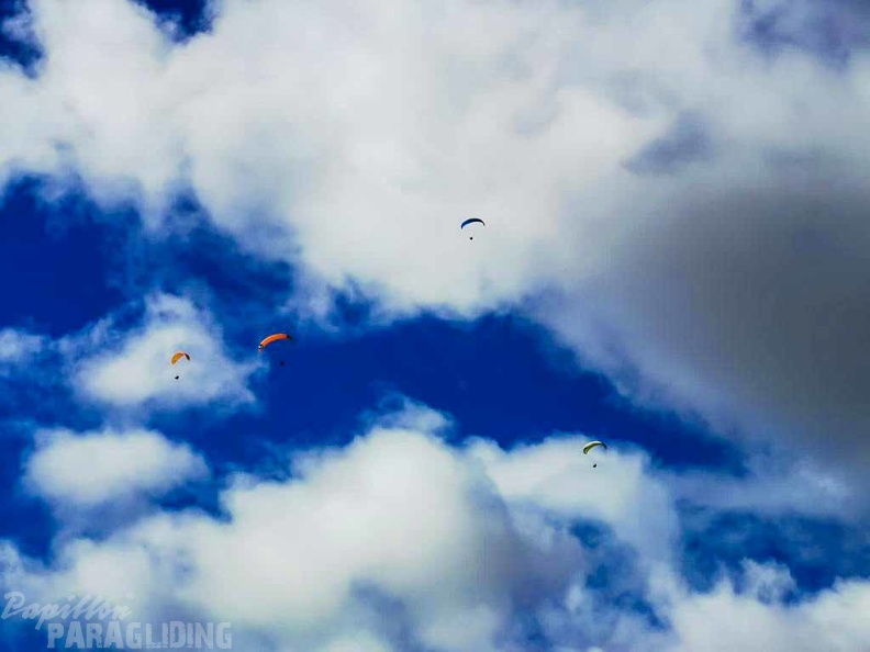 fla8.23-lanzarote-paragliding-landscape-104