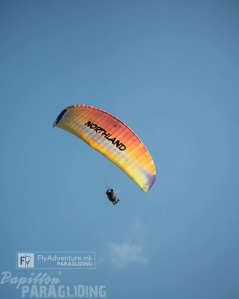 accuracy-paragliding-worldcup-finale-wasserkuppe-23-borjan-155