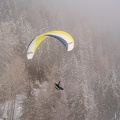 DH1.24-Luesen-Paragliding-Neujahr-125