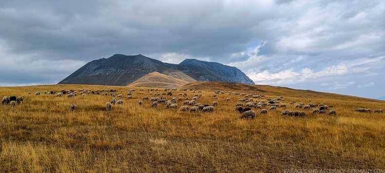 fcf37.23-castelluccio-paragliding-171