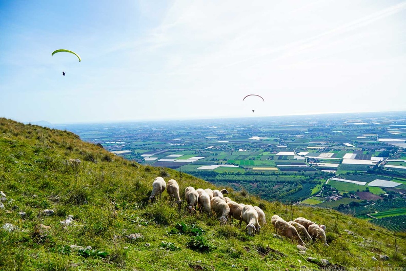 fno42.24-norma-italien-paragliding-154