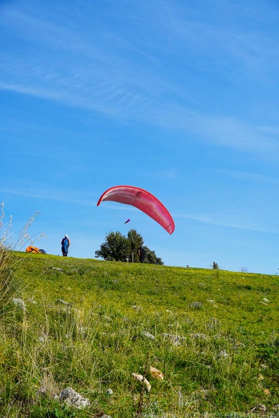 fno42.24-norma-italien-paragliding-158